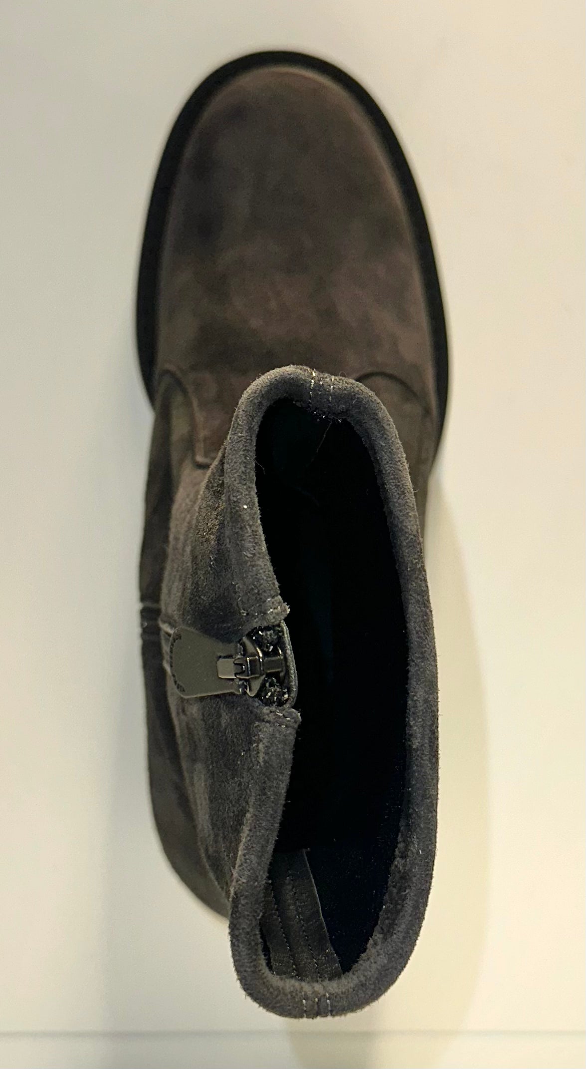 ROBERTO FESTA- ANIKKI CAMOSCIO ASFALTO