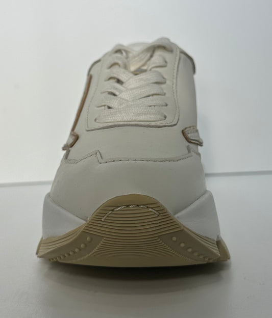 Rucoline aki 304 Pamplona cam bianco oro