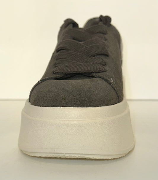 ASH Moby Bistro/Gardenia