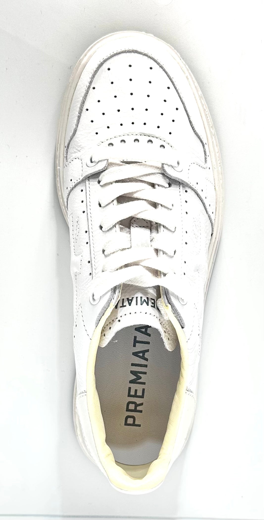 Premiata Quinn 5789