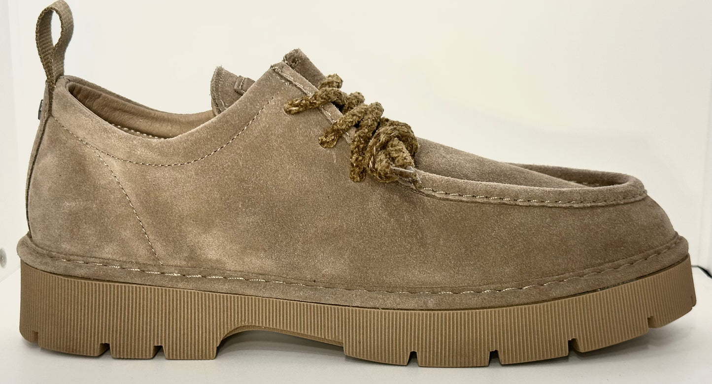 PANCHIC- LACE UP-SHOE SUEDE WALNUT