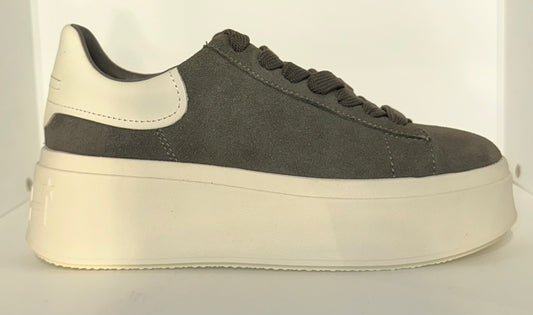 ASH Moby Bistro/Gardenia